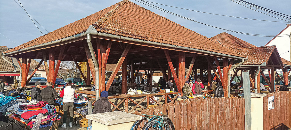 Boncina-Székely Szidónia